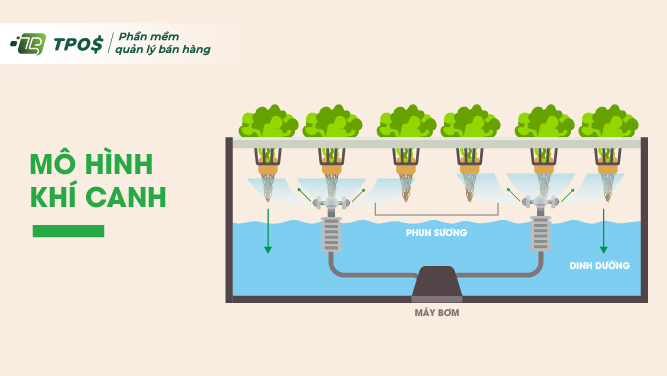 Mô hình trồng rau sạch khí canh